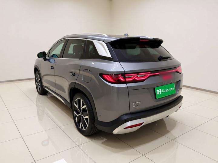 Song L DM-i 2024 160km Excellence photo 4