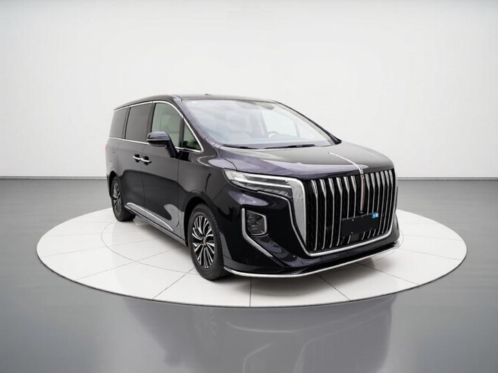 HQ9 PHEV 2024 2.0T AWD Business photo 3