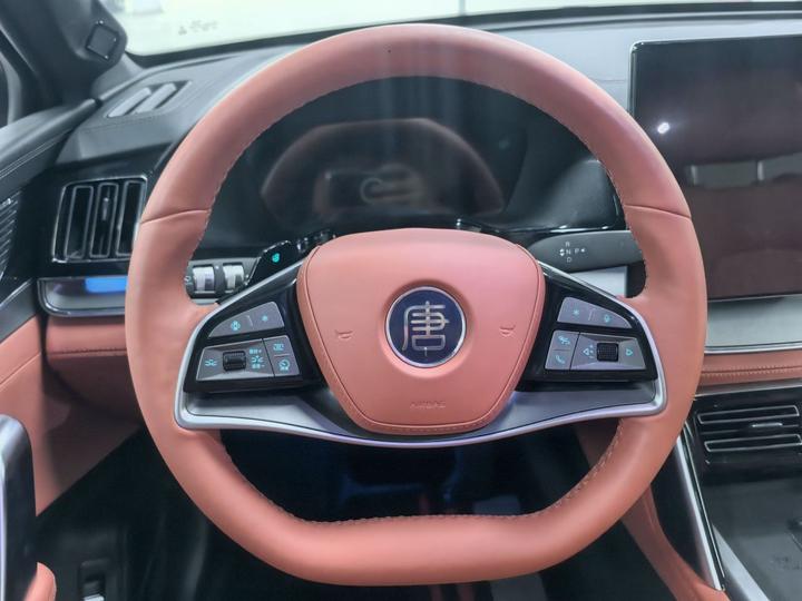 Tang EV 2025 ADAS DM-i 175KM Noble photo 3