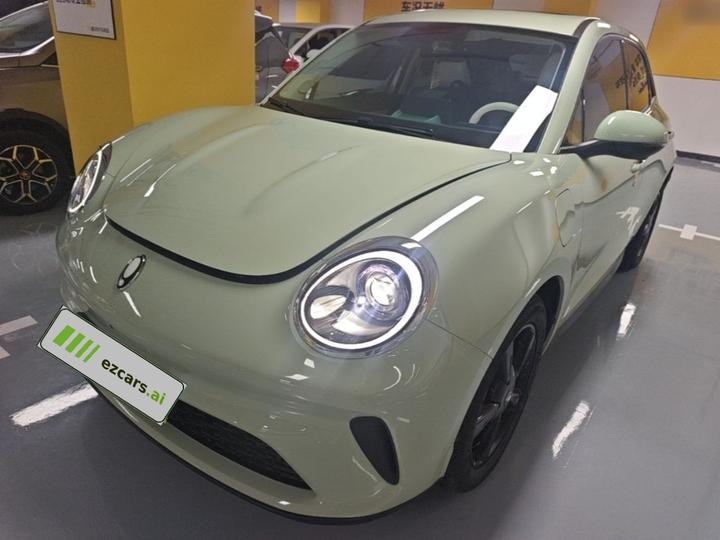 Good Cat 2025 430km Luxury