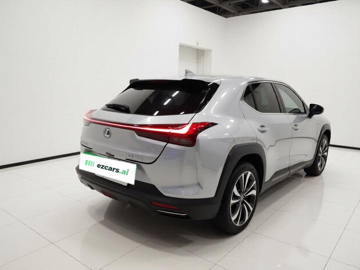 UX 2020 260h photo 5