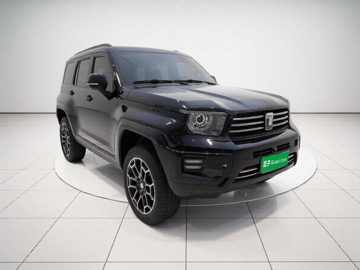 700 EV 2024 Hi4-T photo 3