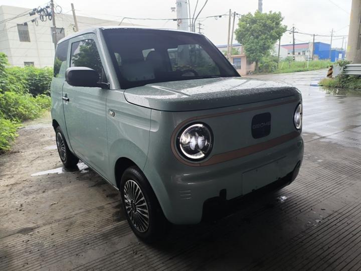 2023 Panda mini 200km Endurance Bear photo 3