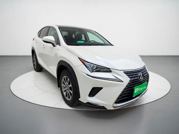 NX 2020 200 FWD China VI photo 3