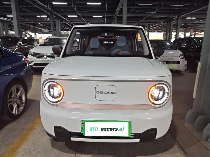 2023 Panda mini 200km Endurance Bear photo 2