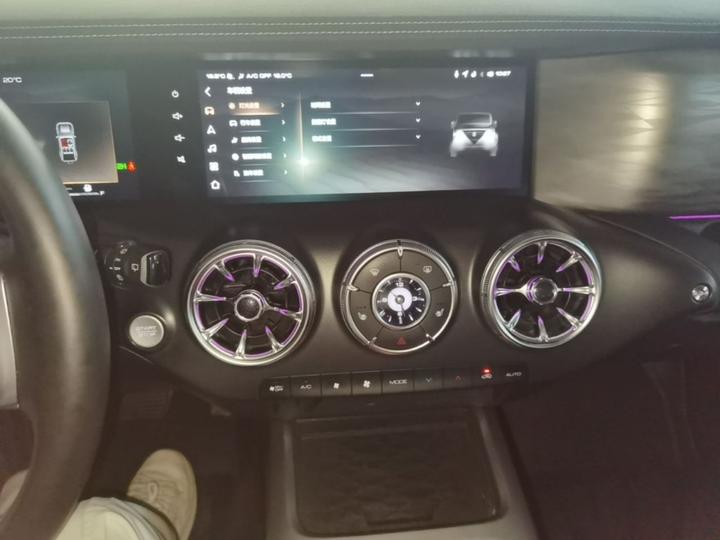 300 2023 Off-road 2.0T Conqueror photo 4