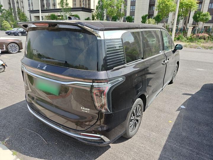 HQ9 PHEV 2024 2.0T AWD Business photo 4