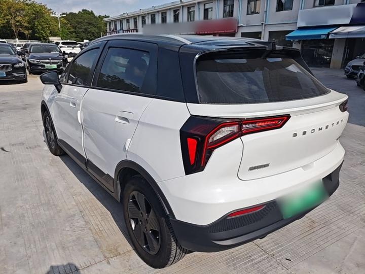 E Firefly 2022 401KM 4-Seater photo 4