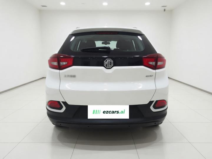 GS 2015 1.5TGI TST Luxury photo 5