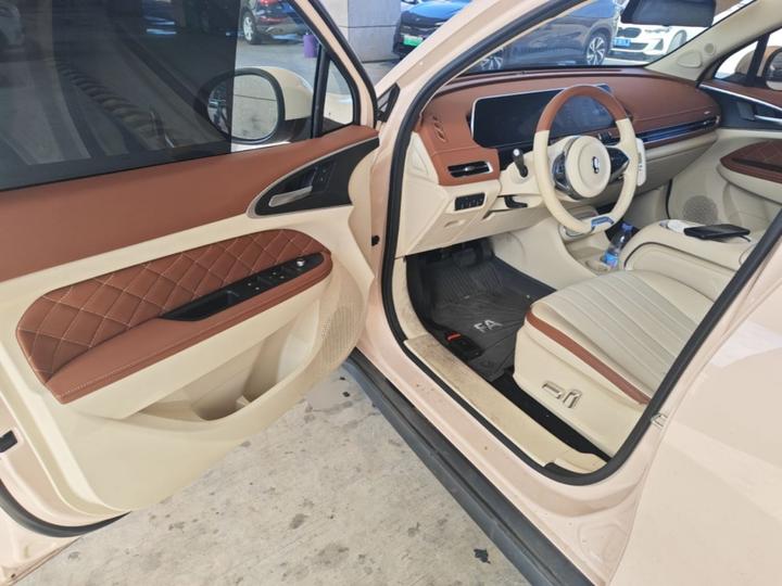 Good Cat 2023 401km Standard Range Luxury LFP photo 3