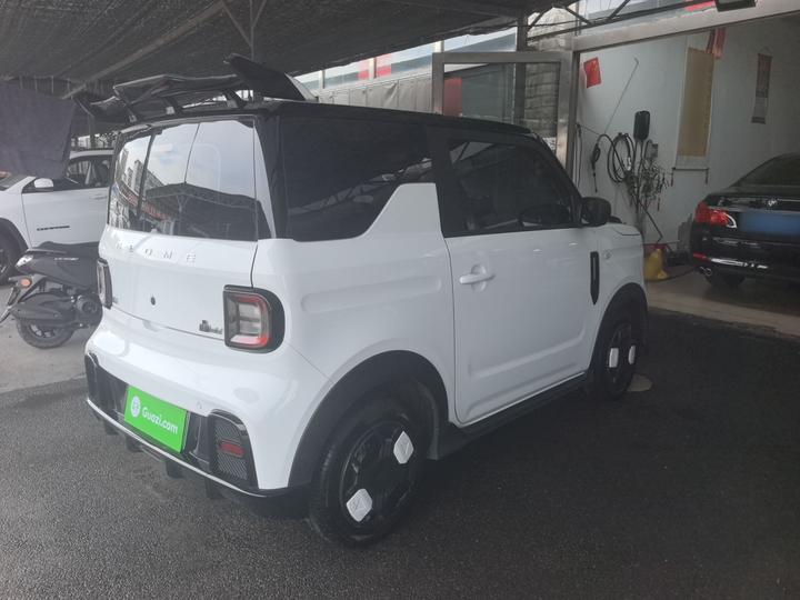 2025 210km Panda photo 3