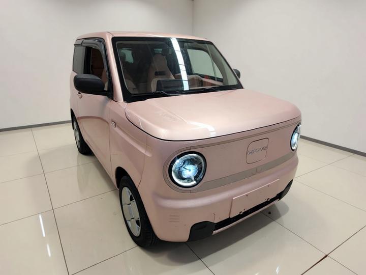 2023 Panda mini 200km Endurance Bear photo 3
