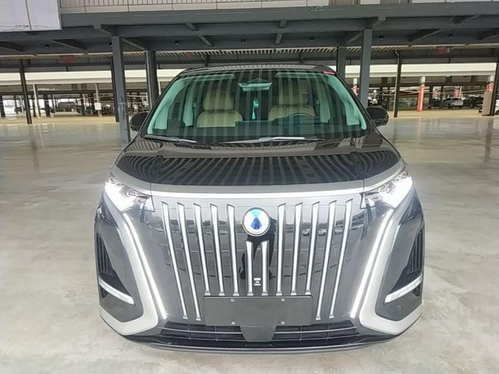 D9 2024 EV 600 AWD Flagship photo 2