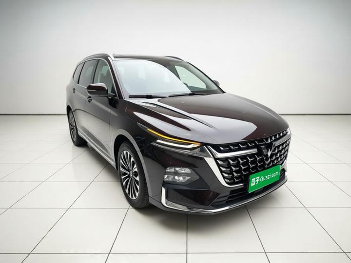 Wuling 2023 2.0L DHT photo 3