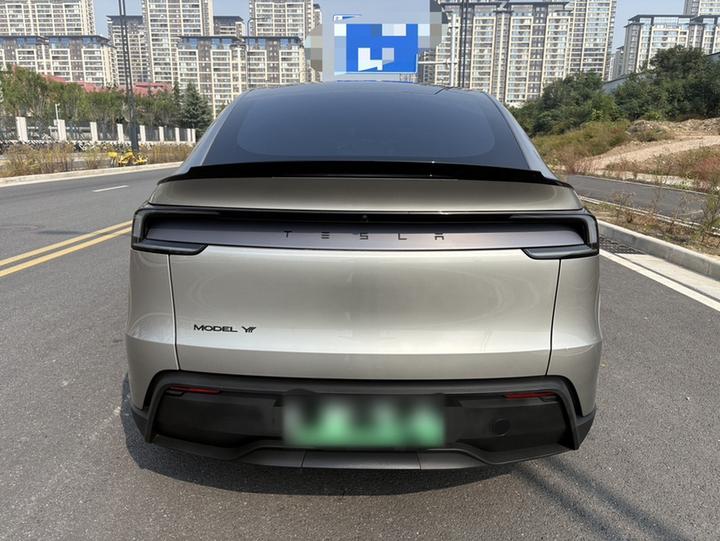 Model Y L 2025 Long Range AWD photo 4