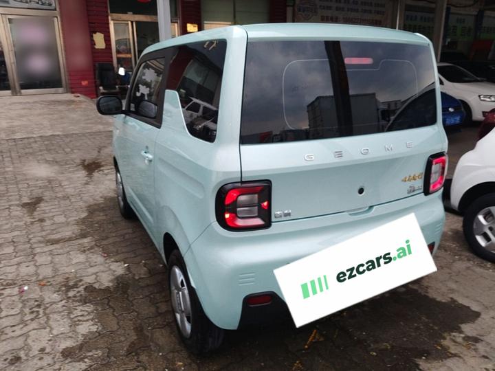2023 Panda mini 200km Endurance Bear photo 4