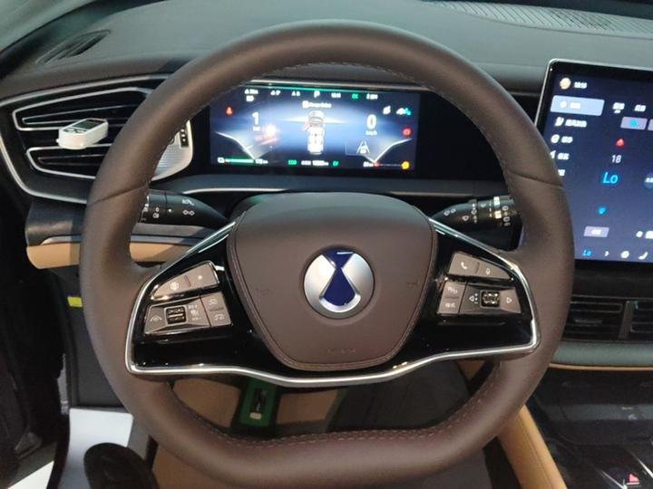 D9 2024 DM-i 980 AWD Premium photo 5