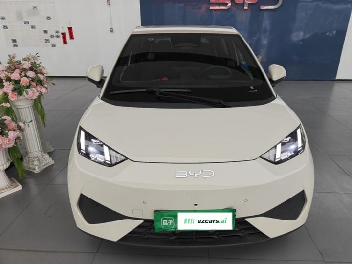 Seagull 2025 ADAS 305km photo 2