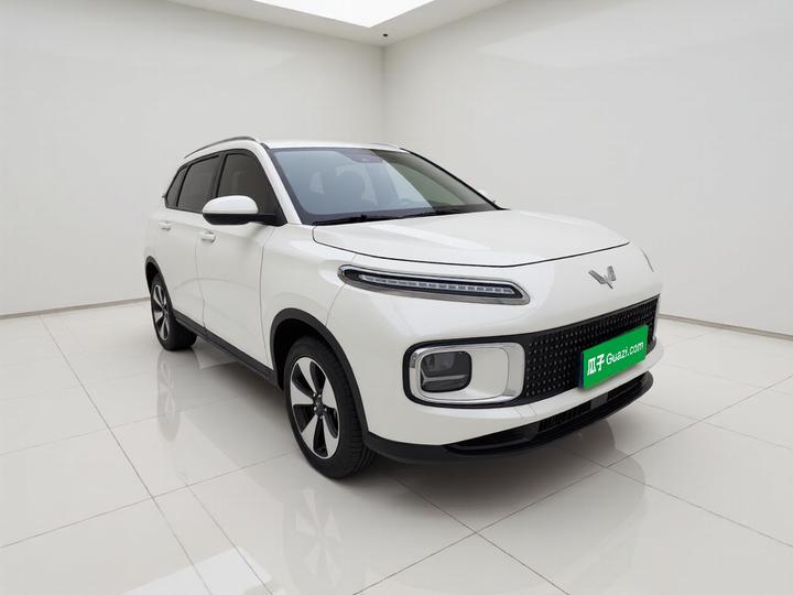 Wuling 2023 2.0L DHT Standard photo 3