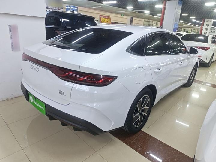 Qin L 2024 DM-i 80KM photo 6