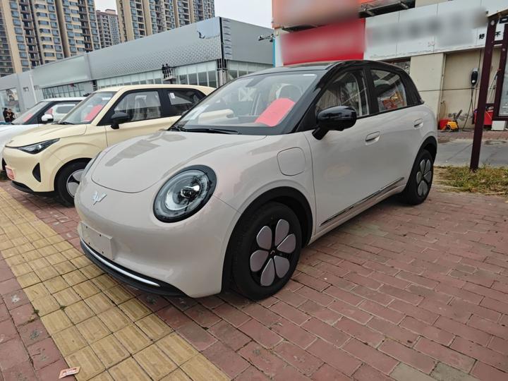Bingo Pro 2026 330km Exclusive