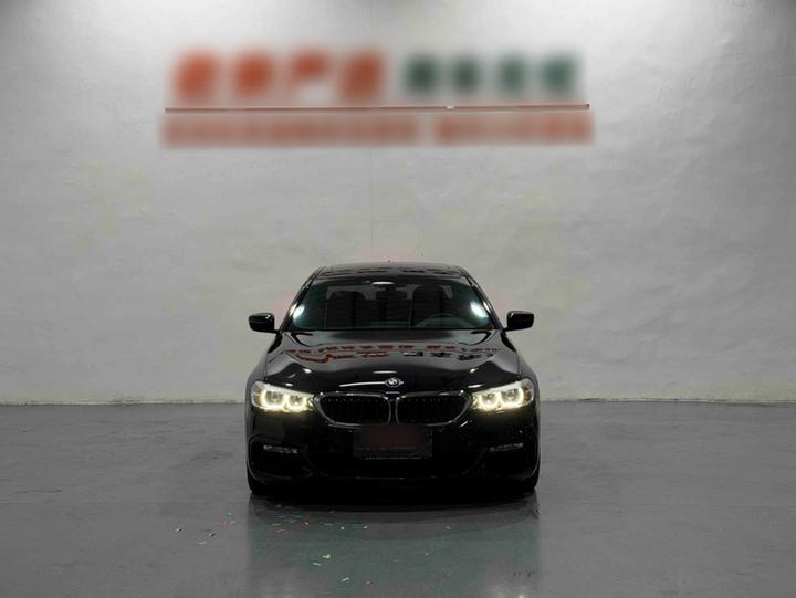 5 Series 2018 530Li Leading M Sport Package photo 2