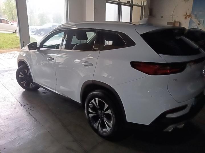TX 2019 1.6T AWD Platinum photo 4