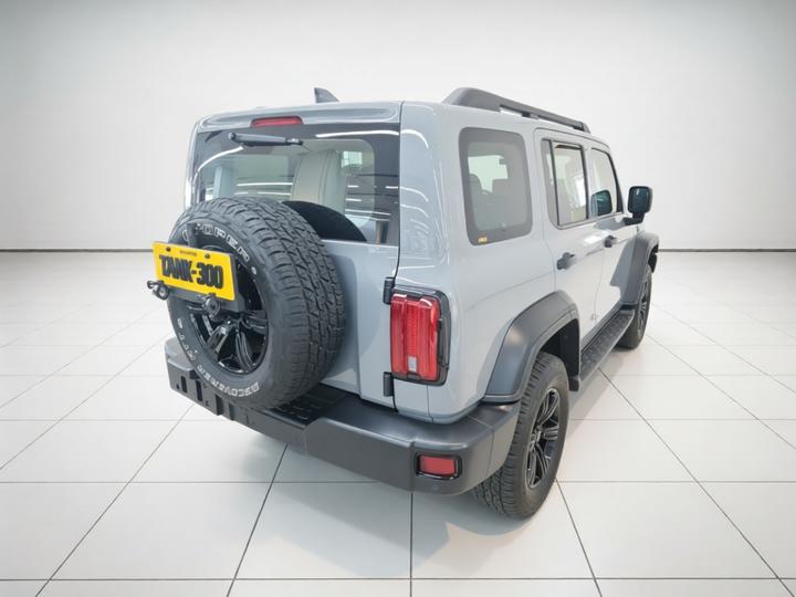 300 2021 Off-road 2.0T Conqueror photo 6