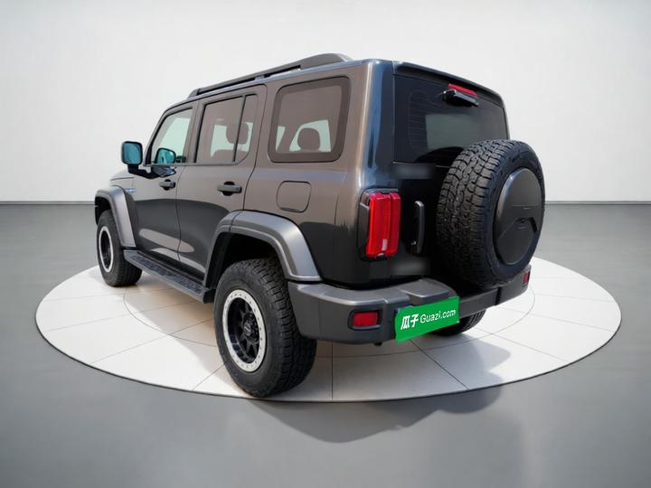 300 2021 Off-road 2.0T photo 4