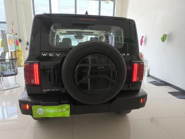 300 2021 Off-road 2.0T Conqueror photo 3