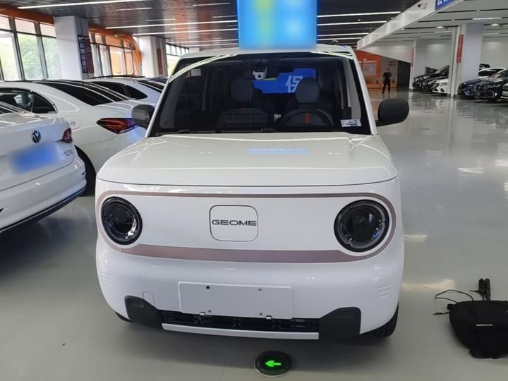 2023 Panda mini 200km Endurance Bear photo 2