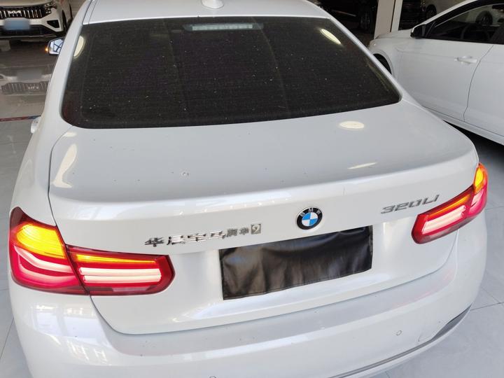 3 Series 2019 320Li Fashion photo 3