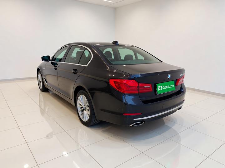 5 Series 2020 525Li Luxury photo 4