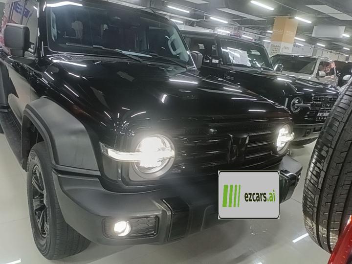 300 2024 2.0T Conqueror photo 2