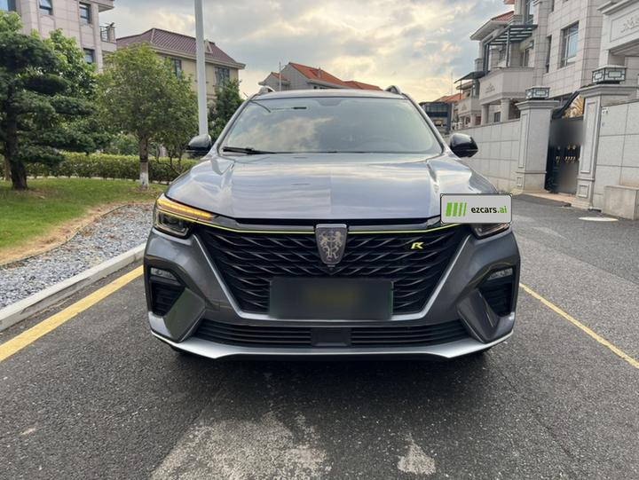 RX5 EV 2020 ePLUS Luxury photo 2