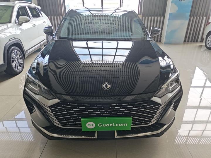 Yixuan MAX 2024 1.5T Luxury photo 2