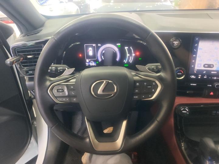 NX EV 2022 400h+ photo 6