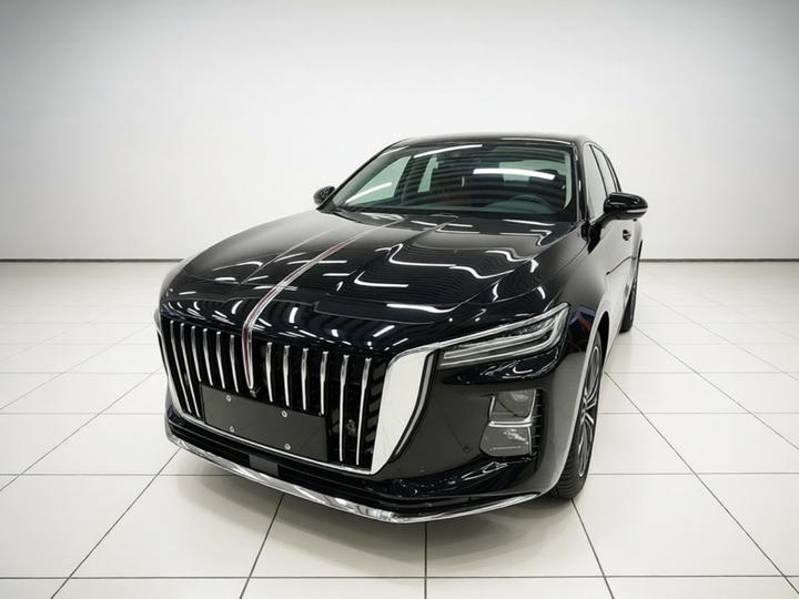 H5 PHEV 2025 170