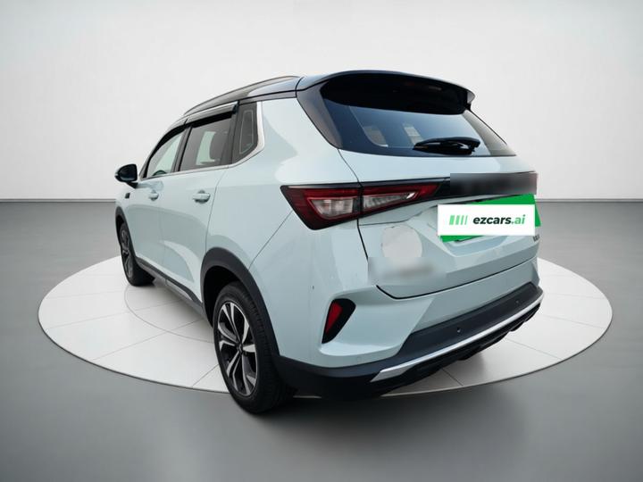 Wuling 2022 2.0L DHT photo 4