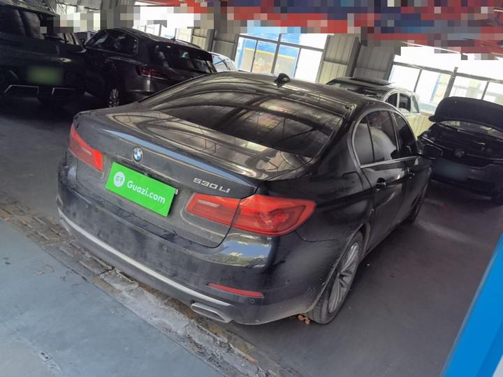 5 Series 2020 530Li Exclusive Luxury photo 4
