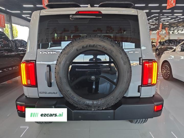 300 2021 Off-road 2.0T Conqueror photo 5