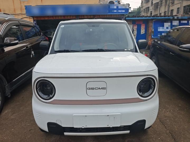 2023 Panda mini 200km Endurance Bear photo 2