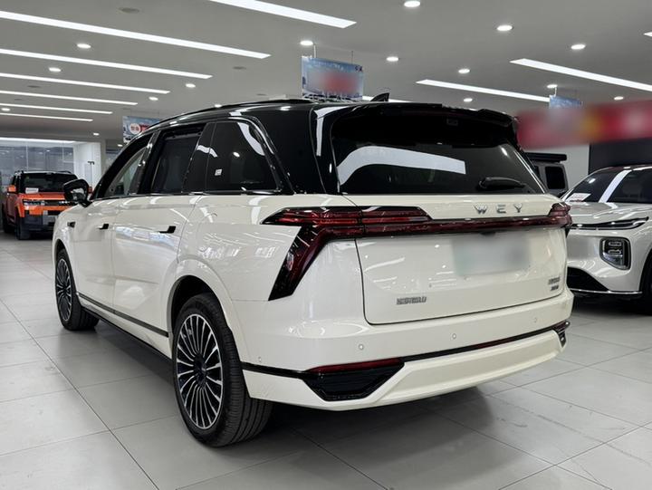 Blue Mountain 2026 Smart Advanced AWD Max+ photo 4