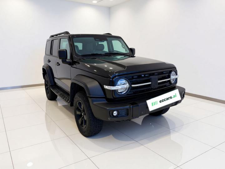 300 2021 Off-road 2.0T Conqueror photo 3