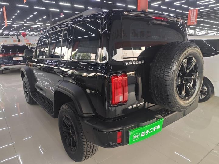 300 2025 2.0T Petrol Conqueror photo 4