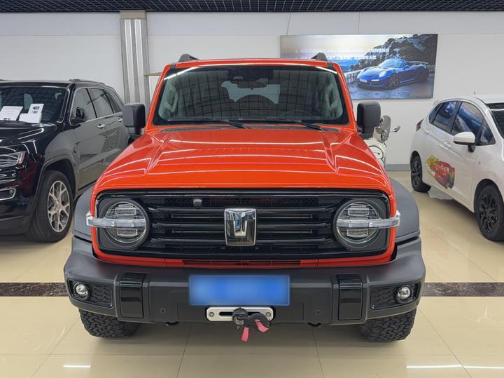 300 2021 Off-road 2.0T Conqueror photo 2