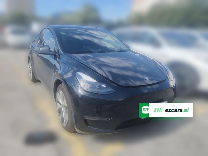 Model Y 2021 Standard Range RWD photo 3