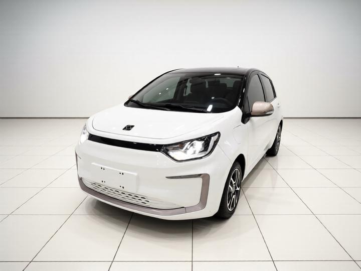 Sehol Flower Fairy 2021 302km Fashion 31.4kWh