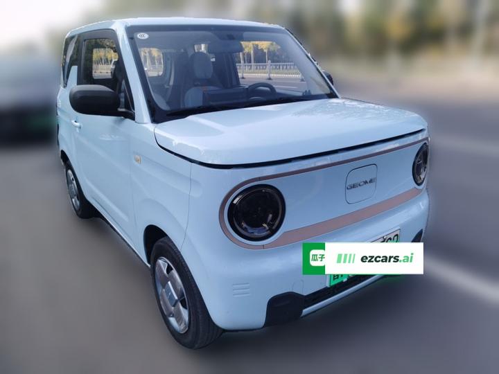 2023 Panda mini 200km Endurance Bear photo 3
