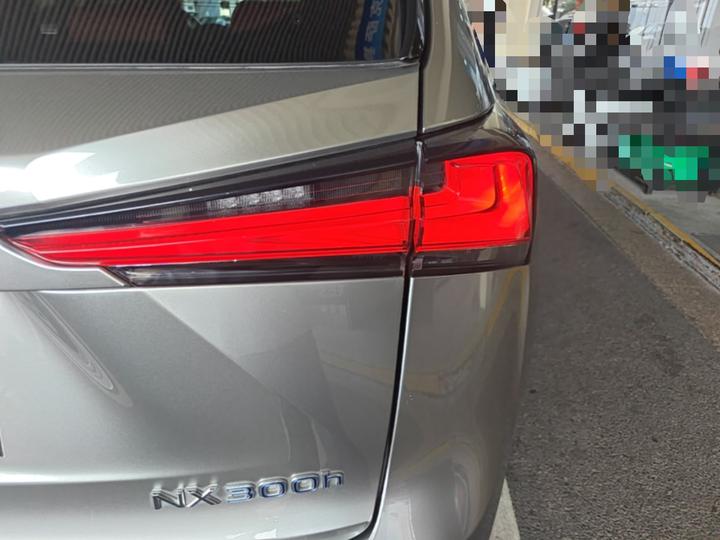 NX 2020 300h FWD China VI photo 7